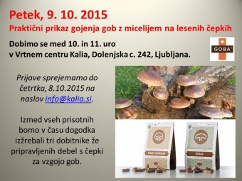 delavnica 9.10.2015 Kalia Ljubljana